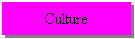 Text Box: Culture

