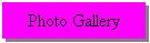 Text Box: Photo Gallery
