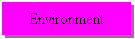 Text Box: Environment
